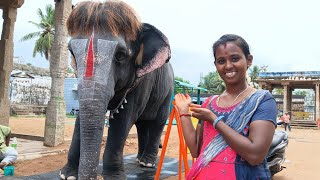 Mannargudi Rajagopalaswamy Temple || Mannargudi Vlogs