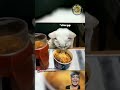 PEDES BANG #cat #funny #animals #kucing #funnyvideos #catlover #shorts