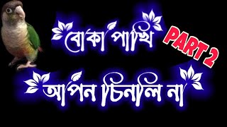 বোকা পাখি আপন চিনলি না status 💔 boka pakhi status 🐦 sad status bangla 🥀 বোকা পাখি 🐦 sad song status