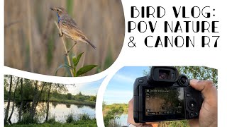 POV Nature photography | Bird photography & Canon R7 #birds #wildlife #nature