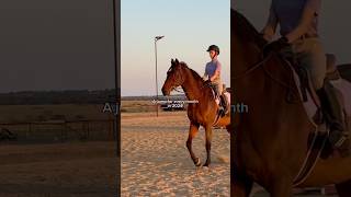 Which month was best? #recap #horse #bighorse #pony #ytshorts #2025 #newyear2025 #goals #resolution