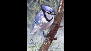 How to Paint Birds in Ink and Watercolor - Lesson 4 | Ink and Watercolor |Watercolour Painting