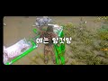 고등학생의 공룡시대 생존기 6 새끼 프테라 모바일 아크 서바이벌 2 ark survival