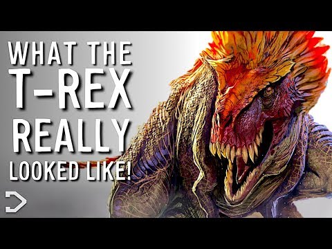 What did T Rex actually look like?