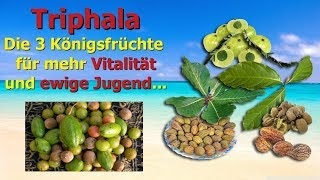 Triphala - Die 3 Königsfrüchte für mehr Vitalität und ewige Jugend