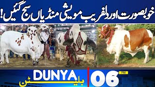 Dunya News Bulletin 06 PM | Beautiful And Enchanting Cattle Markets Are Decorated! | 02 June 2024
