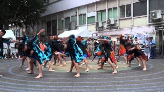 小岩第四中学校／南中ソーラン／第1回小岩阿波踊り2014