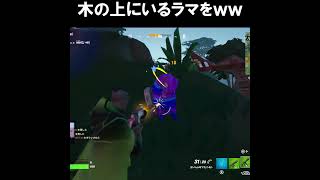 木の上のラマ【フォートナイトfortnite】 #shorts