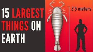 Top 15 Largest Things on The Earth/ World's Largest/In Telugu