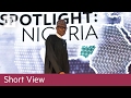 Nigeria's bond sale benefits from EM rally | Short View