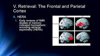 Neuroimaging of Memory Systems