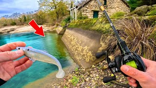 Cet étang se vide et dévoile son potentiel, la pêche inoubliable entre potes !!