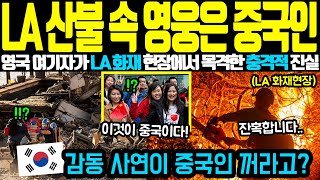 “한국이 아니라 중국인들이 해낸거라고?” LA 산불 현장에서 목격된 추악한 진실ㅣ해외감동사연