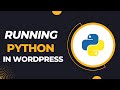 Running a python script within wordpress by using pyscript