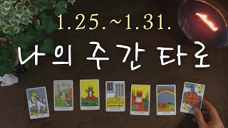 [타로/주간운] 이번 주 일과 사랑, 요일별 흐름(1.25~1.31)