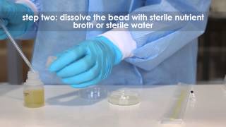 Care and Feeding of C.Elegans