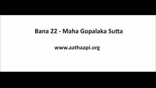 Bana 22 - Maha Gopalaka Sutta - Part 01