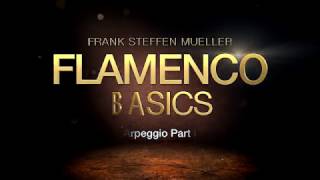 Ortega Academy - Flamenco Basics - Frank Steffen Müller