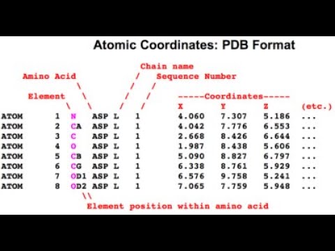 PDB Structure Manipulation In VMD (change Residue And Chain Identity Of ...