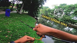 MANCING HARUAN DITASIK BUATAN | IKAN HARUAN GANAS GARANG GOKIL | PORT MANCING AREA KLANG | TSF44