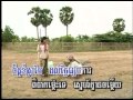 ផ្កាដុះលើថ្ម