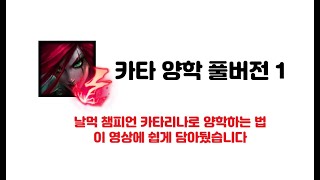 【양학】 카타리나 양학 운영법 풀버전 강의 1편 (카타 사용법) 11.24패치