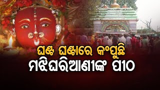 ଘଣ୍ଟ ଘଣ୍ଟାରେ କମ୍ପୁଛି ମଝି ଘରି ଆଣୀଙ୍କ ପୀଠ | Odisha Reporter