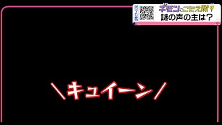 【謎の音】団地に響くキュイーン！の正体は？【ギモンにこたえ隊】