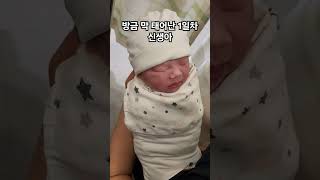 방금 막 태어난 1일차 신생아