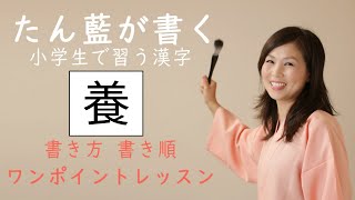 小学四年生で習う漢字【養】を書いてみましょう。たん藍が書く漢字一文字動画、書き方書き順ワンポイントレッスン