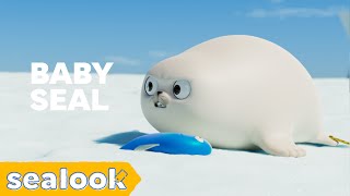Teeny Tiny Tough Baby Seal! | Baby Seal Special | SEALOOK | Episodes Compilation