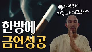 23년 흡연인생 한방에 금연성공!! (100%성공하는 금연방법공개)