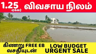 1.25 ஏக்கர் புஞ்சை நிலம் | Farm land for sale | Low budget |1574