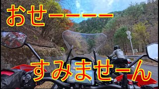 どんがめは道を譲れ　鈴鹿スカイラインを走るには遅すぎる　改めて考えた未熟な運転技術　やっぱり修行か？