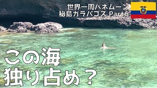 #51 【さよならガラパゴス！】ガラパゴスの海を独り占め