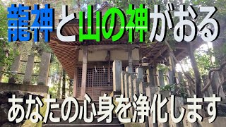 【　貴布祢伊龍神社　】山の神と龍神の浄化力が凄まじい！！