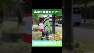 高岡市農業センター　除草剤散布作業# shorts