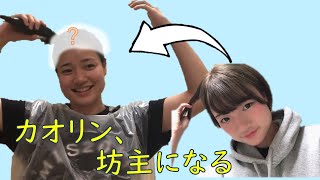 女の子が坊主にする動画