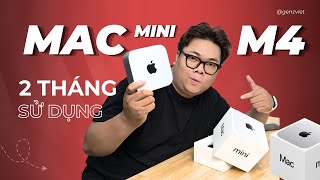 Review of Mac Mini M4 after more than 2 months of use - working and playing games are all VERY GOOD?