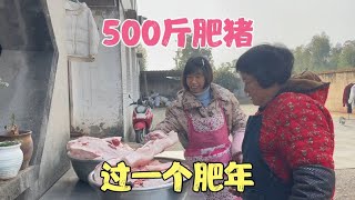 500多斤的肥猪！油熬了两锅！腊肉腌两缸缸！今年过一个肥年！