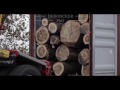 dedoncker loading of poplar logs