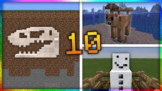 10 STVARI KOJE NISTE ZNALI O MINECRAFTU