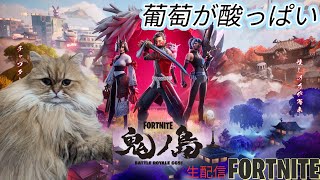 FORTNITE C6S1  新春赤裸々振り返り＆抱負  夜のライブ配信2025/01/03