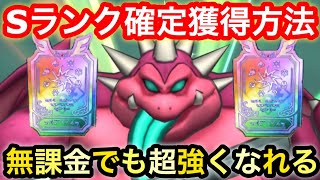 【ドラクエタクト】Sランク確定獲得方法！無課金でも強くなれるので必ず入手しよう！