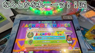 こねこのメダルゲーム日記No.156 カラコロッタフローズンアイランド　なんとかなれ～～ッ！！