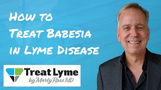 How to Treat Babesia in a Lyme Disease Treatment