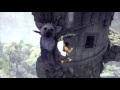 The Last Guardian™: Clutch Catch by Trico