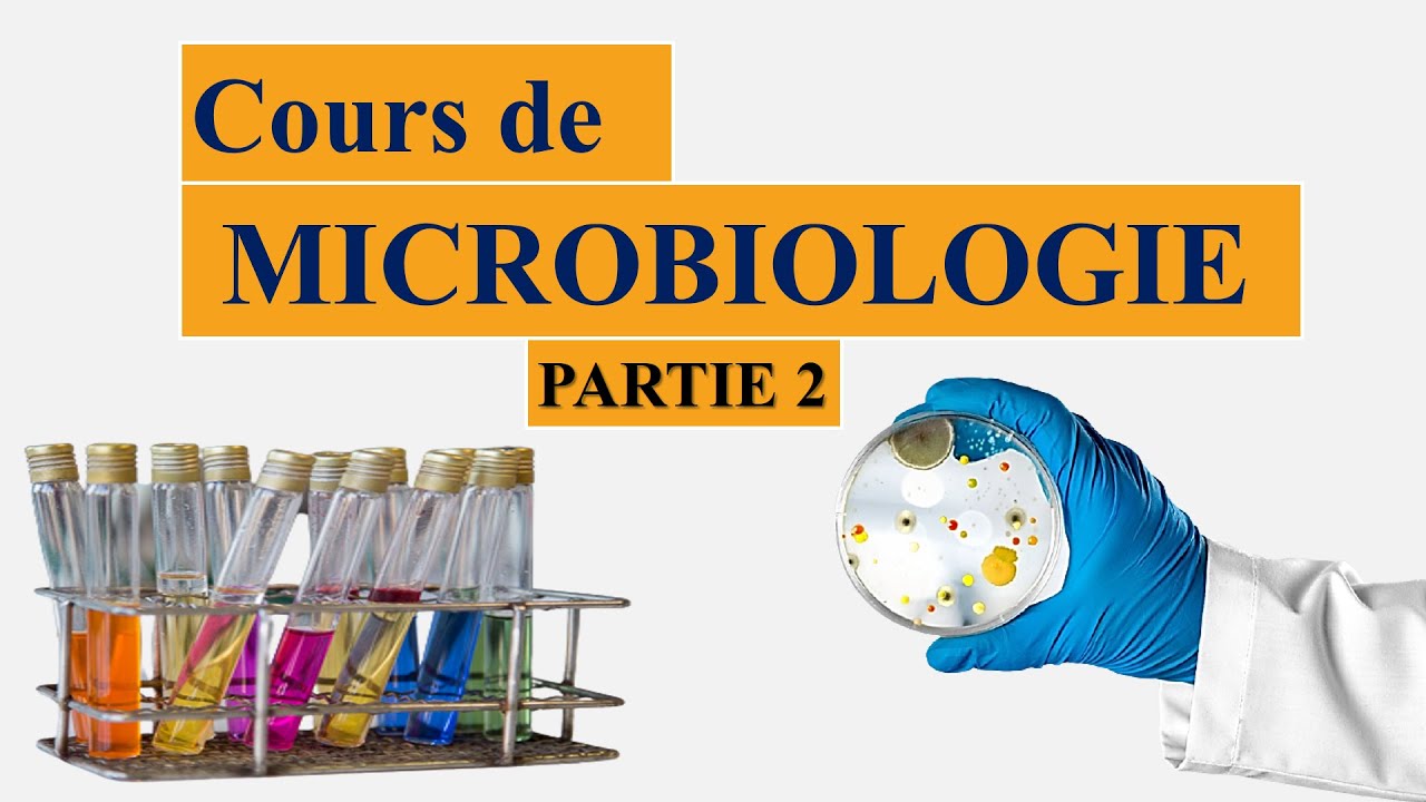 Cours Microbiologie Partie 2 : Introduction Et Généralités Et ...