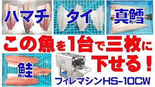 多魚種に対応！タイ1.8kgとハマチ3.8kgの三枚下ろし　フィレマシンHS-10CW