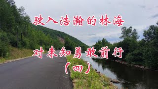 驶入浩瀚的林海，对未知勇敢前行，环中国自驾D130（四）